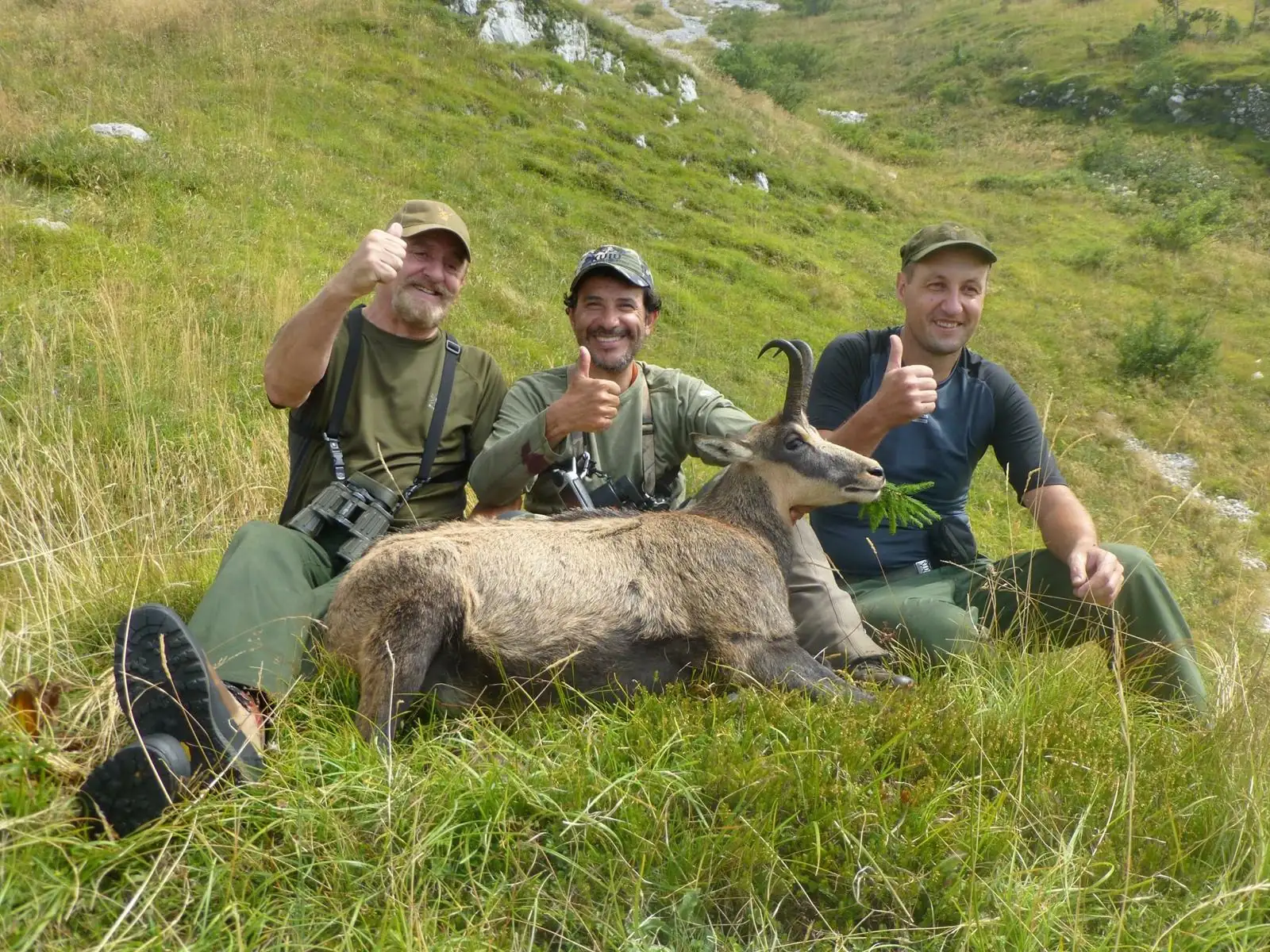 slovenia-artemis-hunting