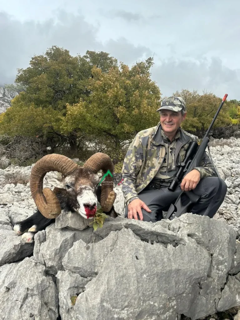 Client of Artemis Hunting on a successful mouflon sheep hunt in Croatia
