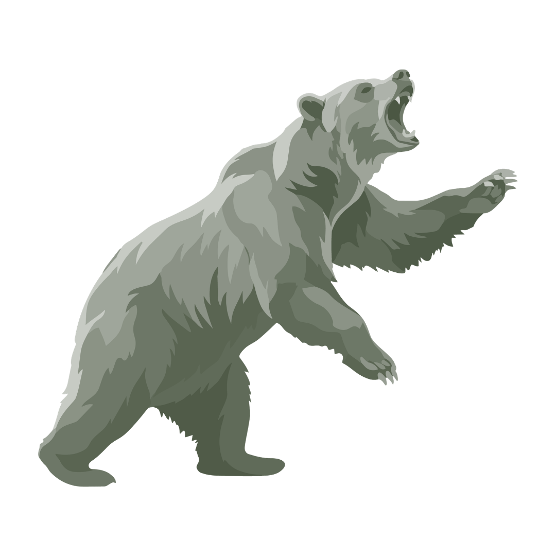 Brown bear icon