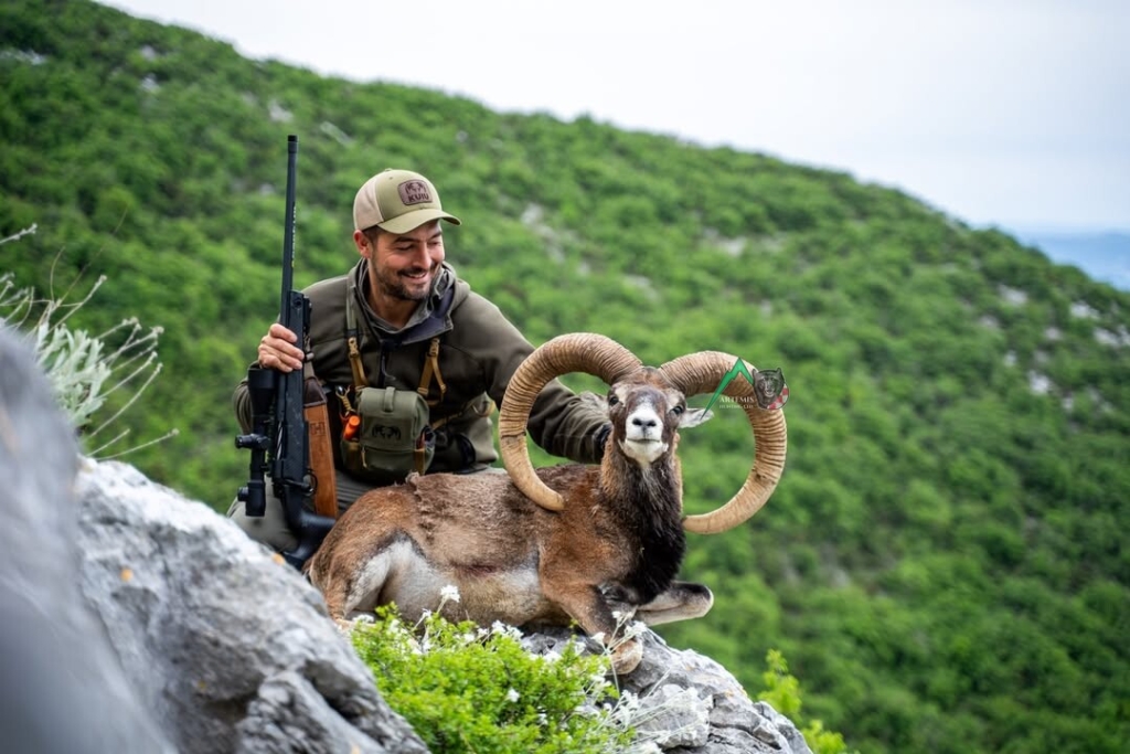 Pedro Ampuero, client of Artemis Hunting on a successful mouflon sheep hunt in Croatia