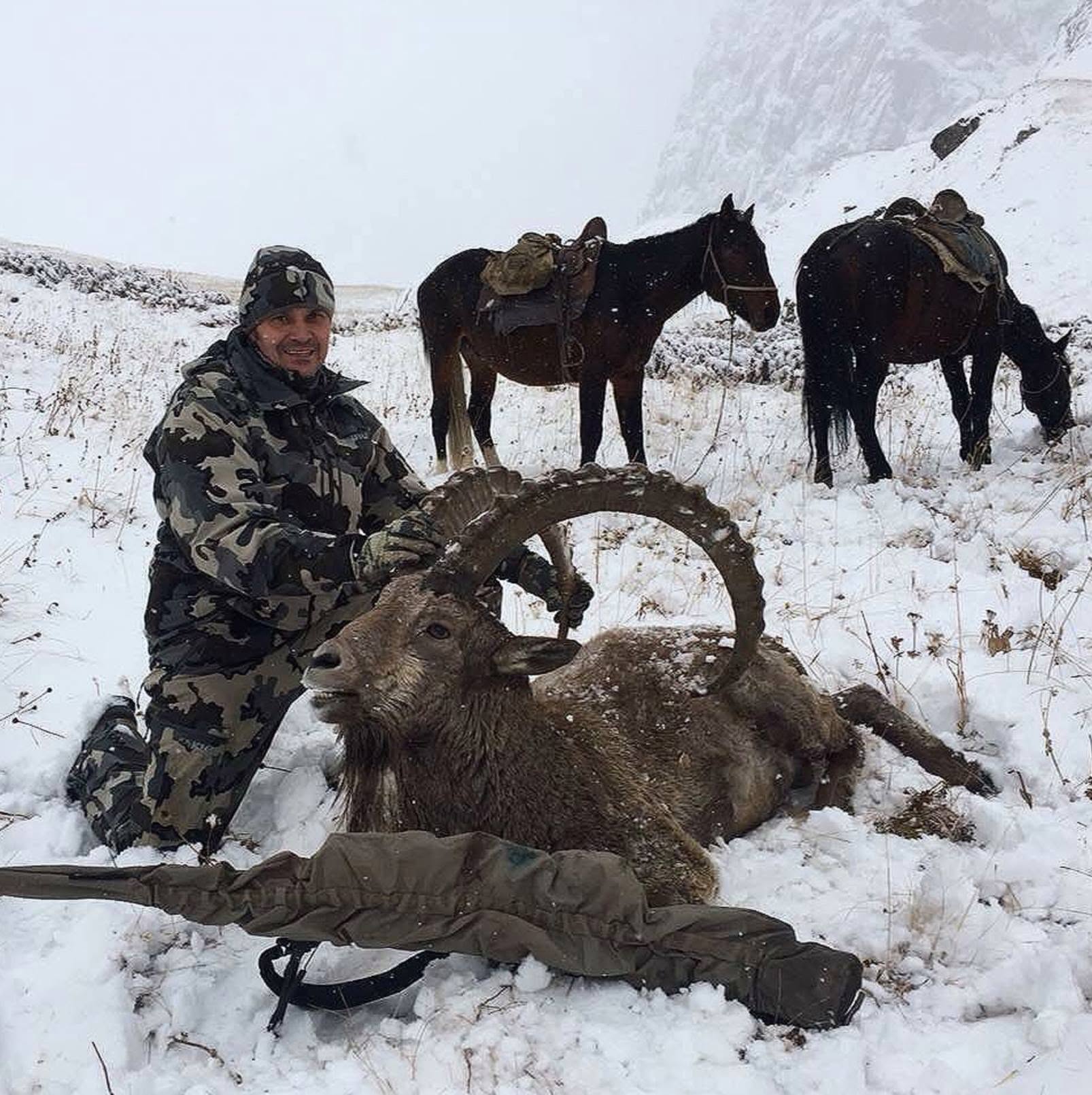 Client of Artemis Hunting on a successful mid-asian ibex hunt in Kyrgyzstan